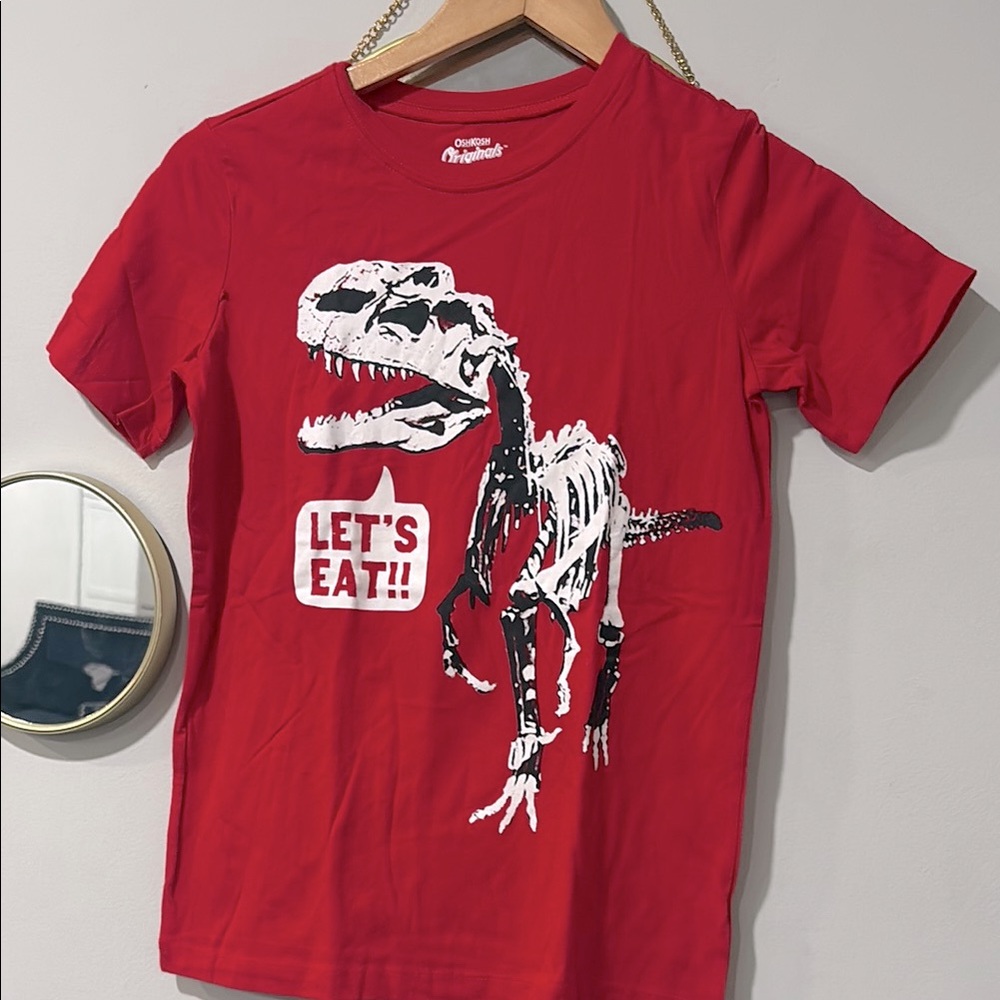 Boys Dinosaur Tee Size 12